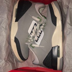 Chlorophyll Jordan 3